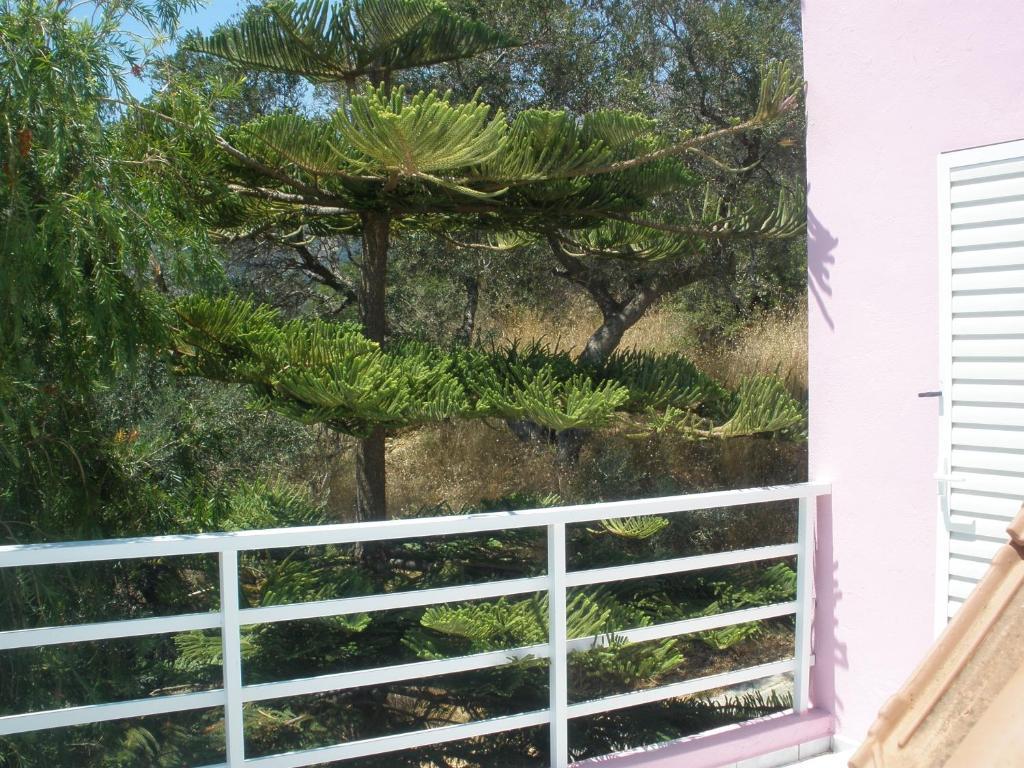 Apartamento Camelia Plakias Exterior foto